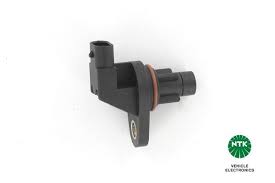 Raspidvalın daçiki M651